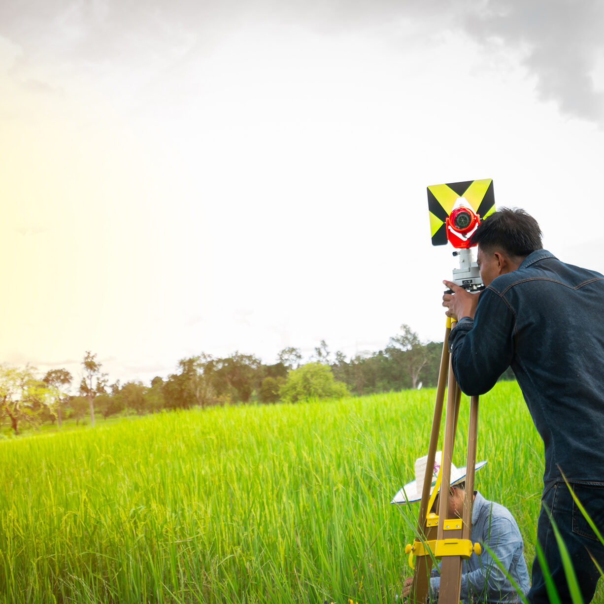 Asian smart engineer or surveyor in black jeans and long sleeve shirt are measuring the lands of rice field by Theodolite.